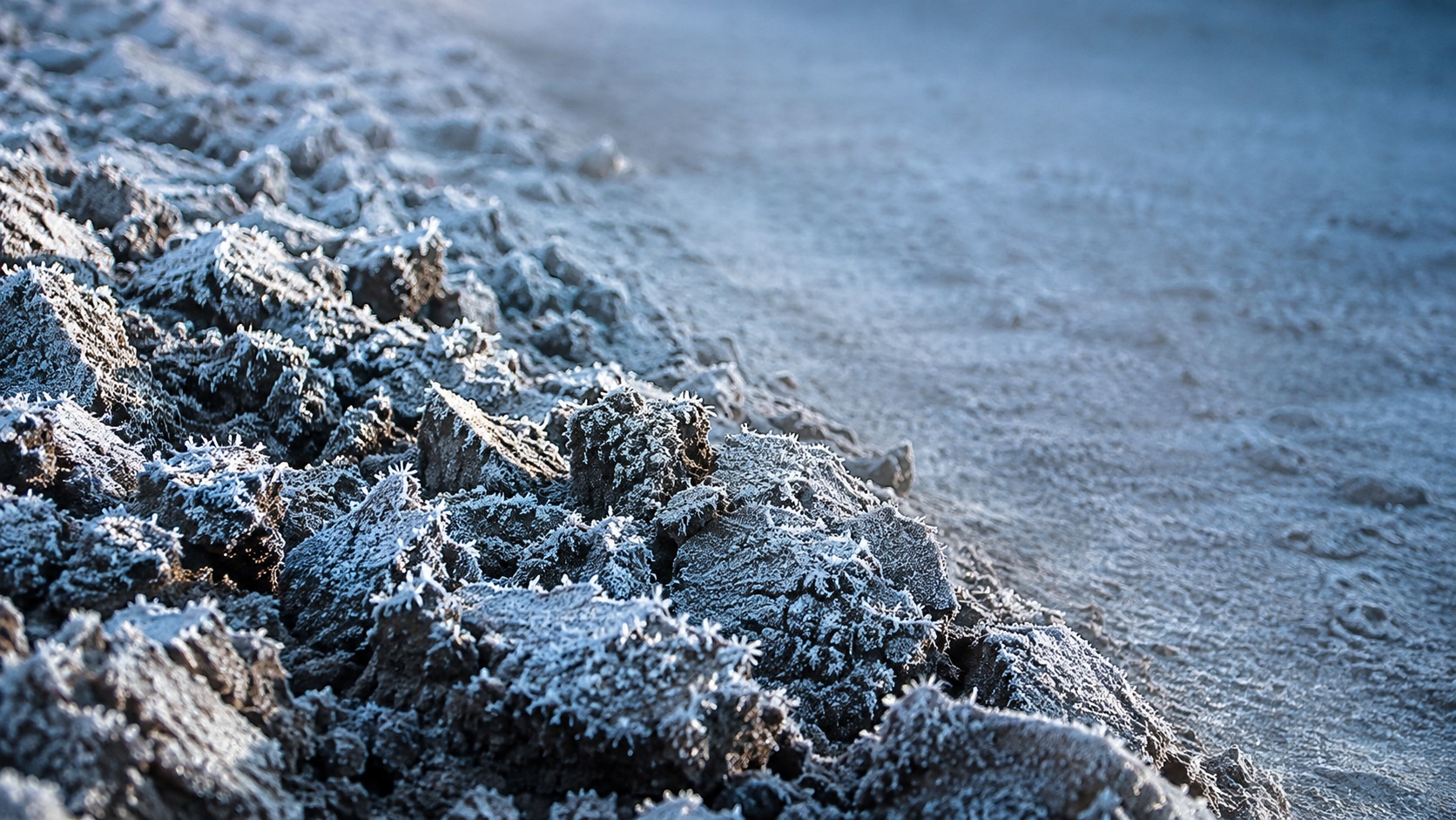 Une terre nue prise par le givre, sous une lumière bleue et froide.